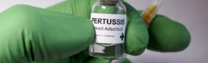 Gloved hand holding a vial of pertussis vaccine.