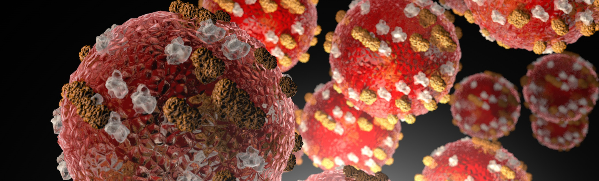 Image of Measles microscopically.